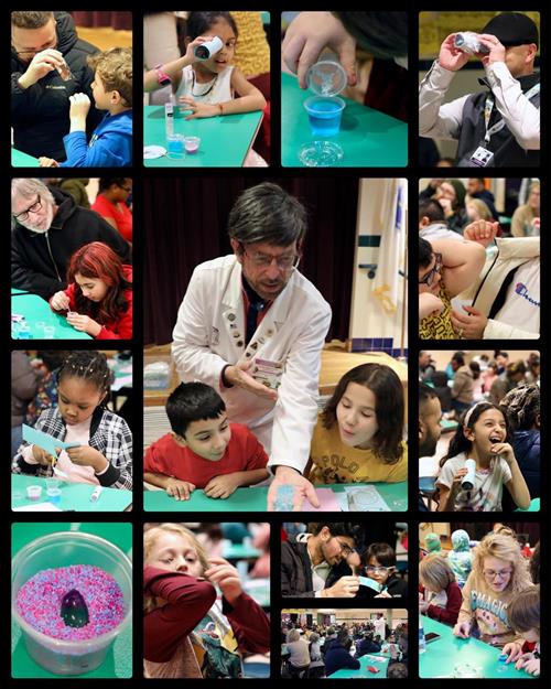 STEAM Night